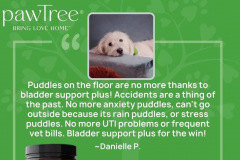 Pawtree-2